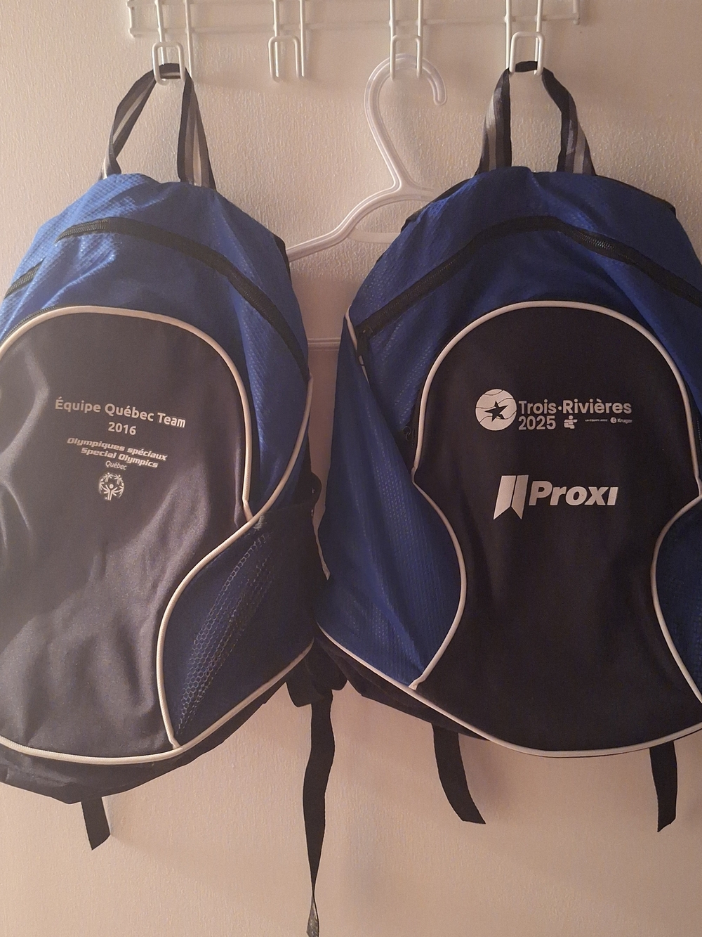 Two Blue and Black Backpack